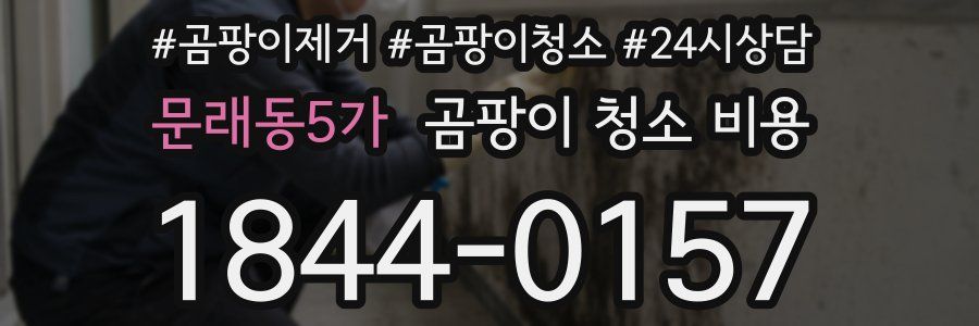 문래동5가 곰팡이 청소 비용