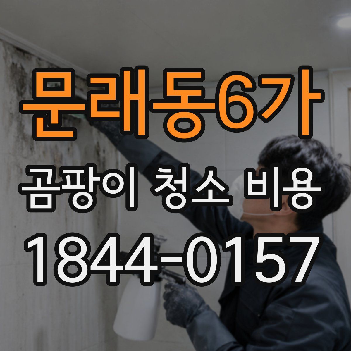 문래동6가 곰팡이 청소 비용