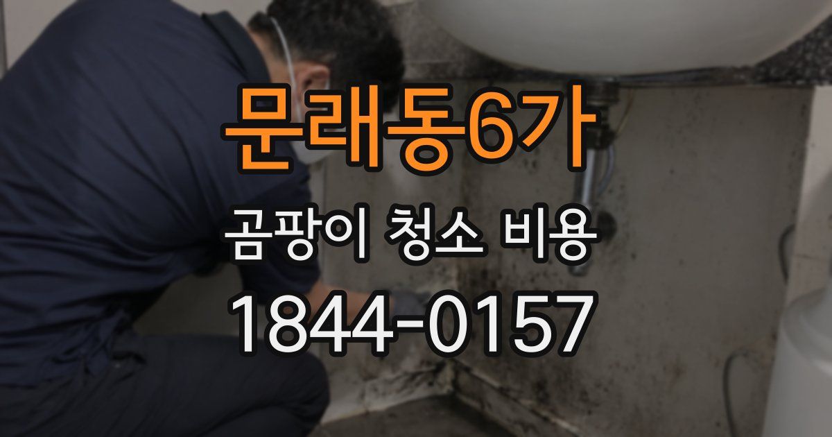 문래동6가 곰팡이 청소 비용