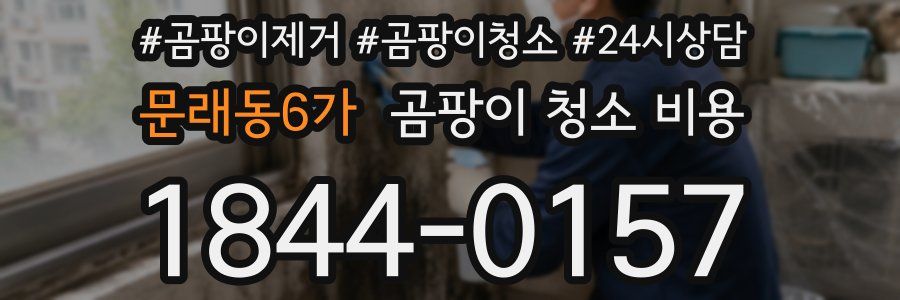 문래동6가 곰팡이 청소 비용