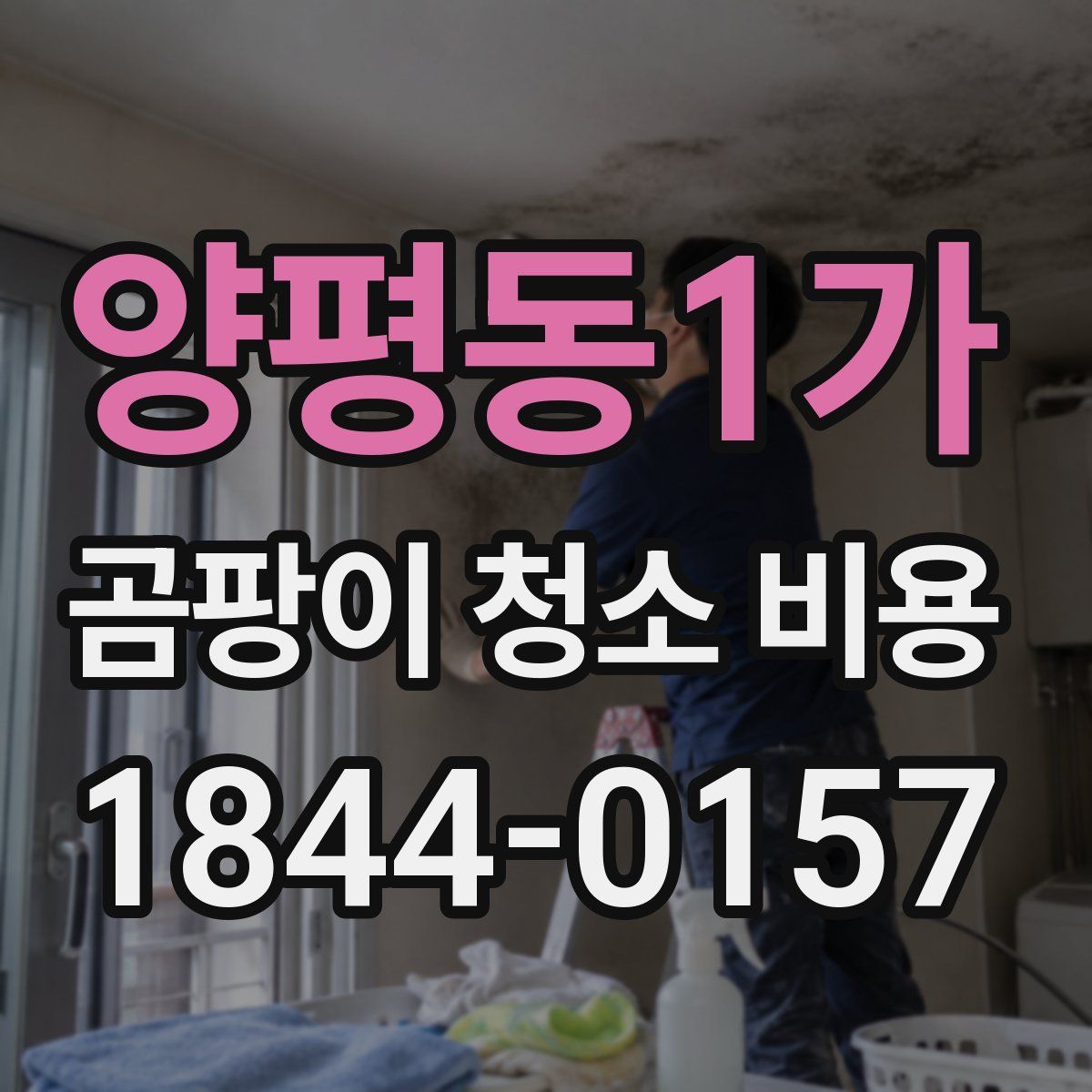 양평동1가 곰팡이 청소 비용