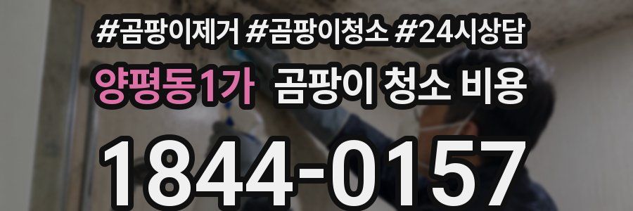 양평동1가 곰팡이 청소 비용