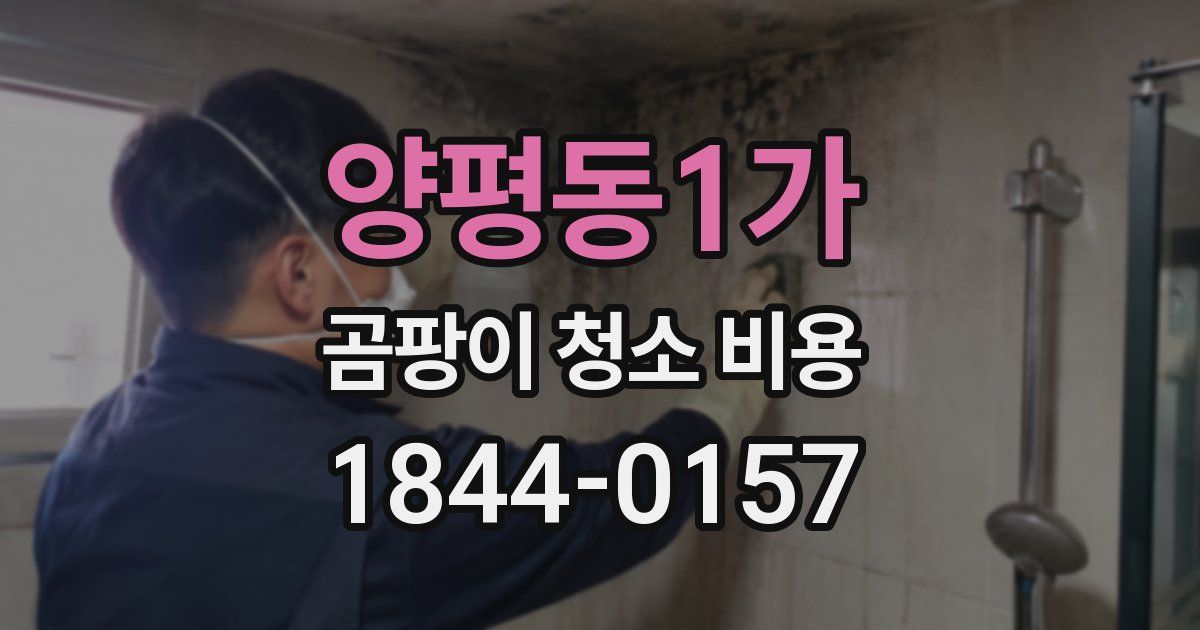 양평동1가 곰팡이 청소 비용