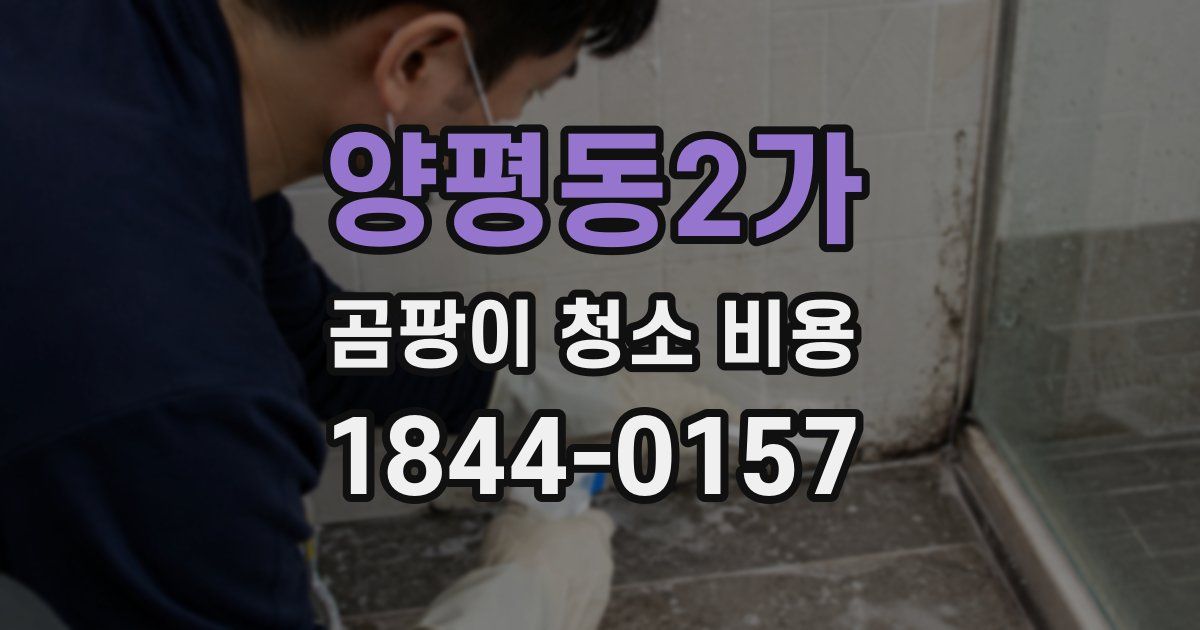 양평동2가 곰팡이 청소 비용
