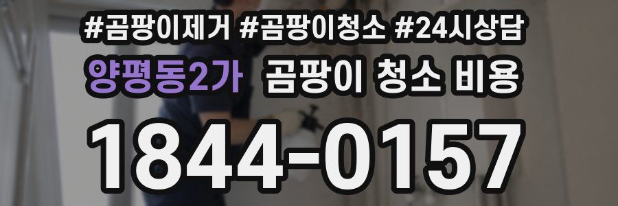 양평동2가 곰팡이 청소 비용