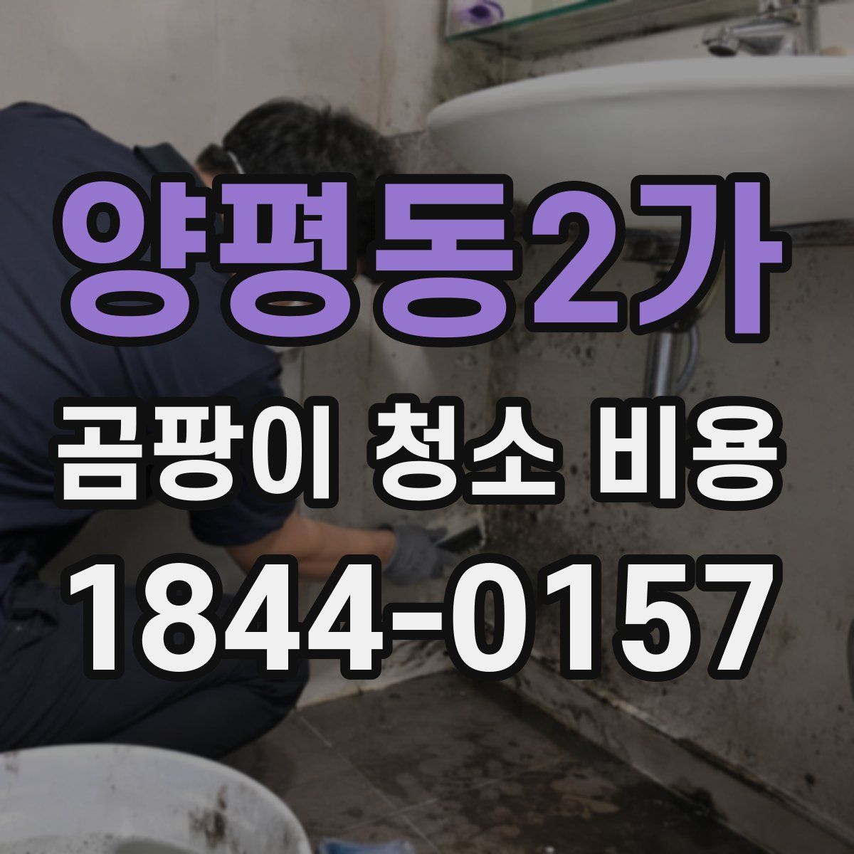 양평동2가 곰팡이 청소 비용