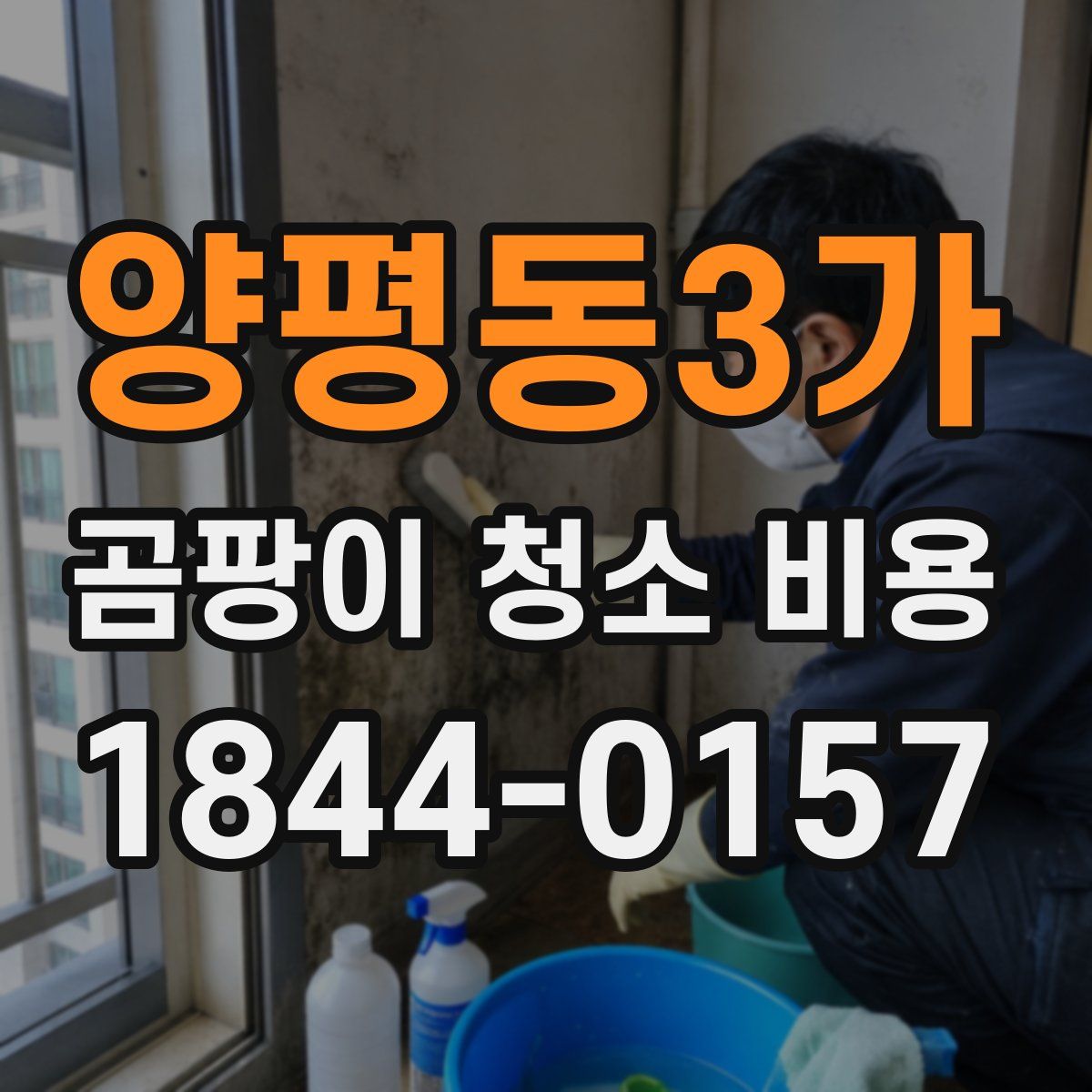 양평동3가 곰팡이 청소 비용
