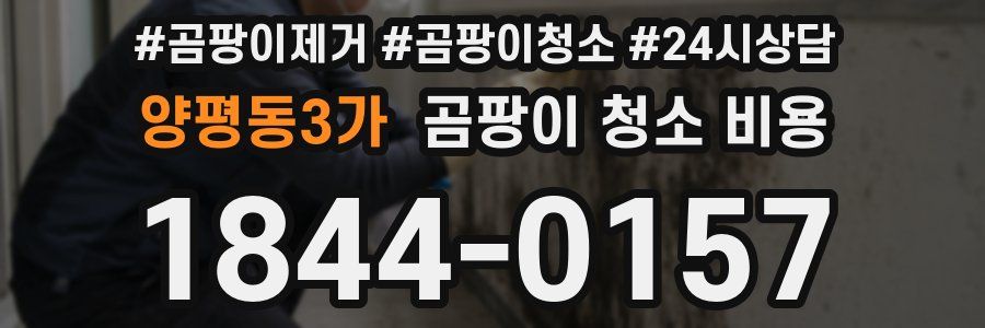 양평동3가 곰팡이 청소 비용