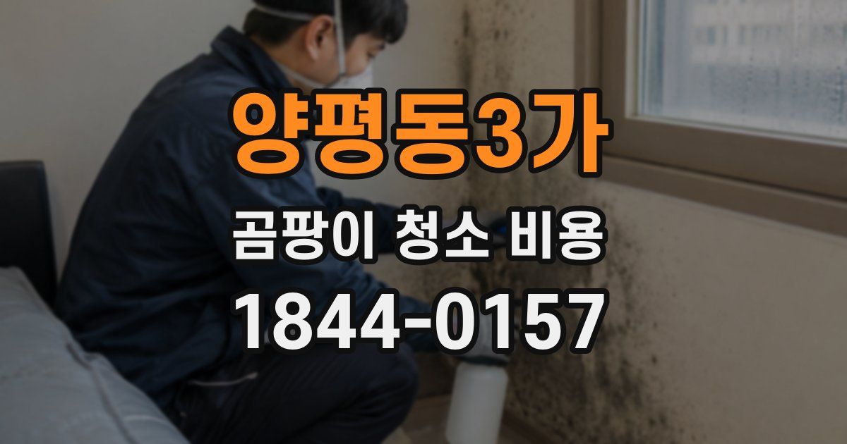 양평동3가 곰팡이 청소 비용