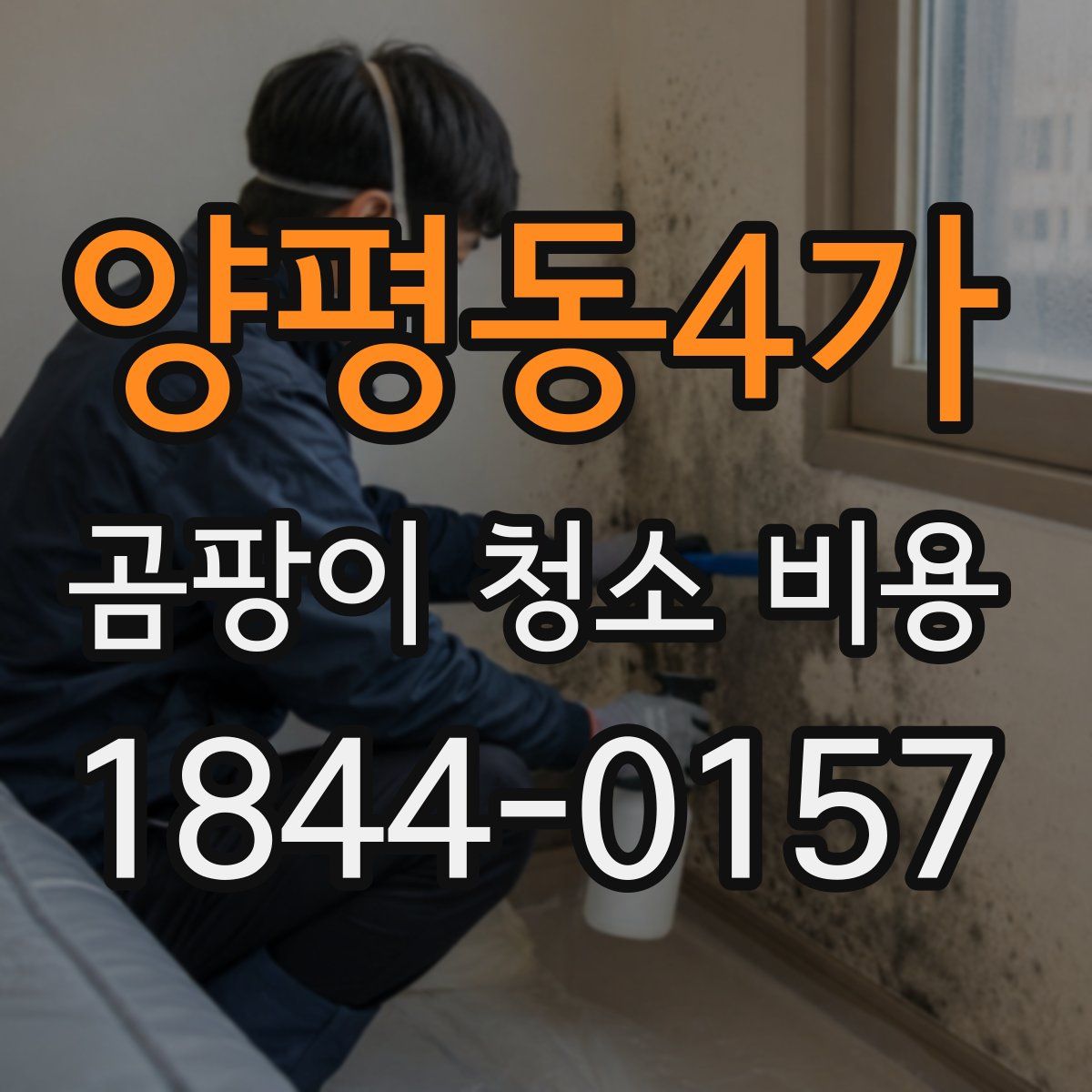 양평동4가 곰팡이 청소 비용