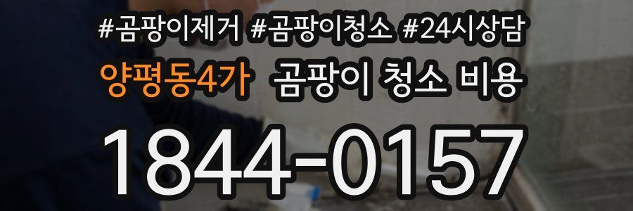 양평동4가 곰팡이 청소 비용