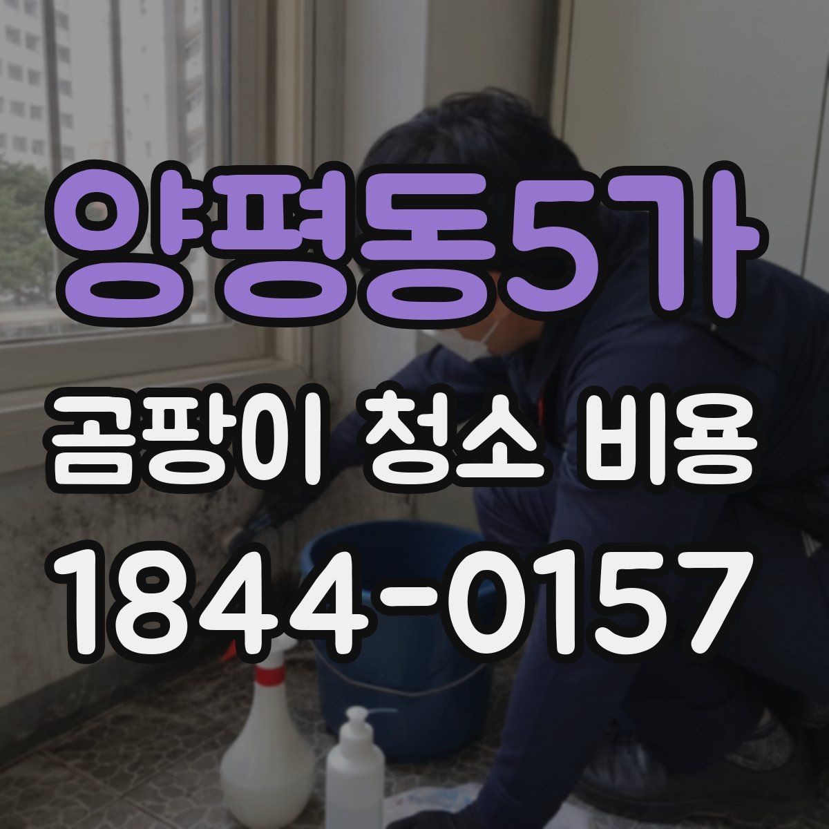 양평동5가 곰팡이 청소 비용 원룸과 오피스텔에서 자주 묻는 점