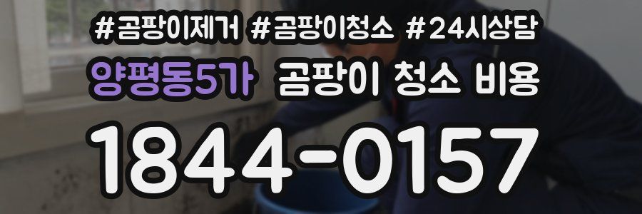 양평동5가 곰팡이 청소 비용