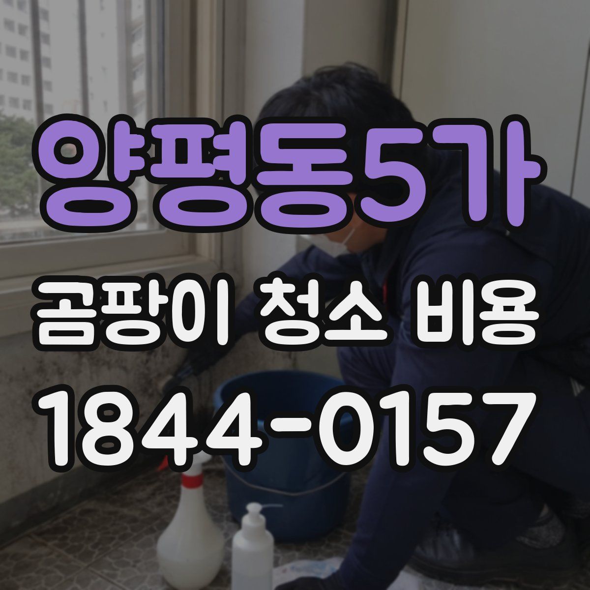 양평동5가 곰팡이 청소 비용