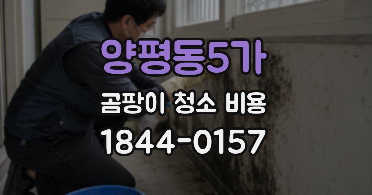 양평동5가 곰팡이 청소 비용