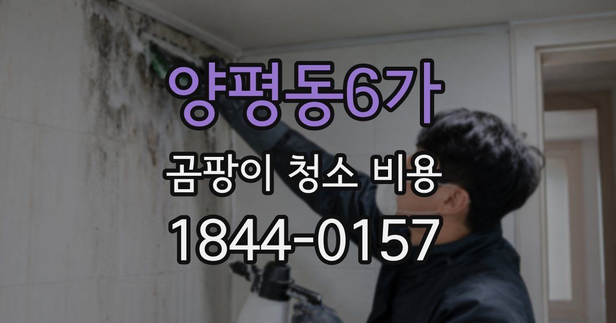 양평동6가 곰팡이 청소 비용
