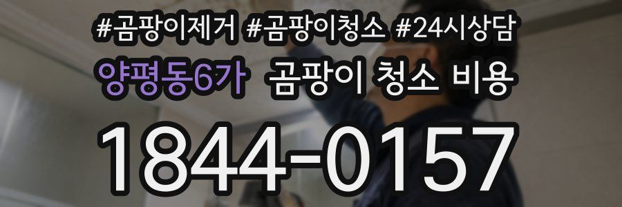 양평동6가 곰팡이 청소 비용