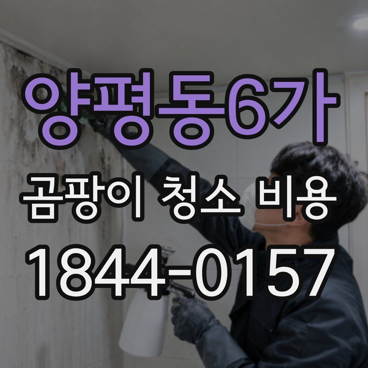 양평동6가 곰팡이 청소 비용