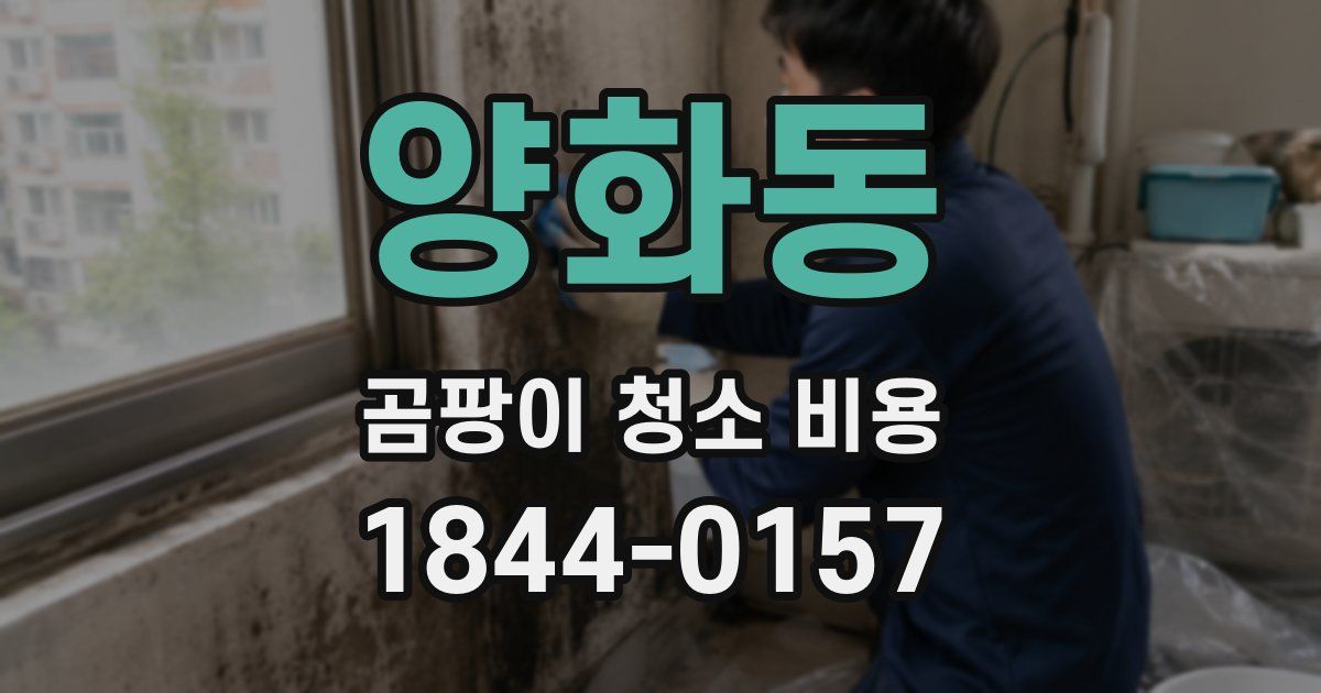 양화동 곰팡이 청소 비용