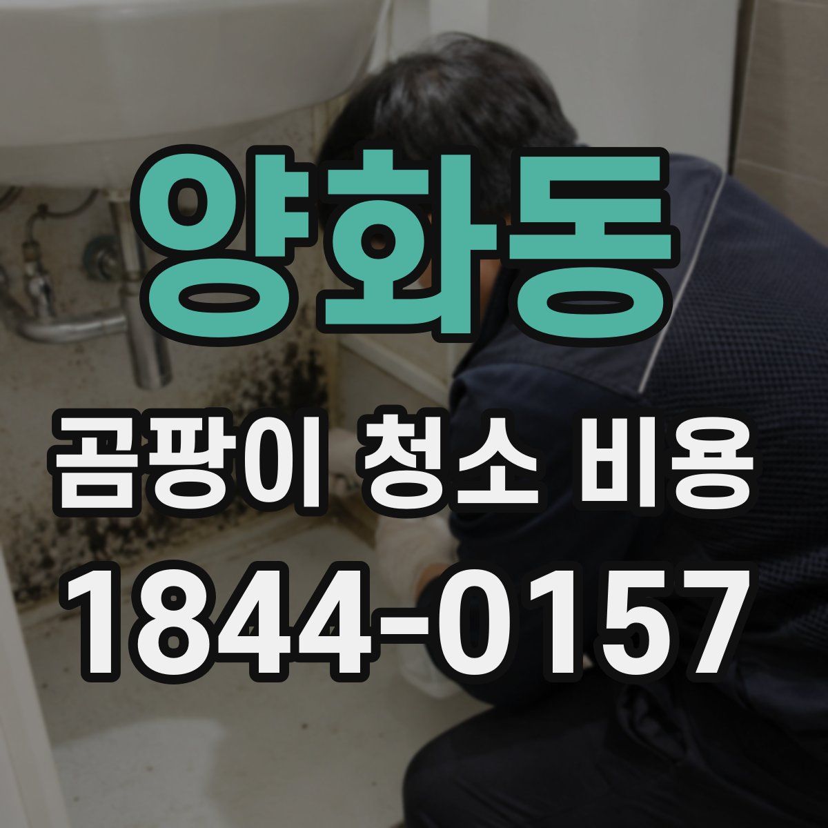 양화동 곰팡이 청소 비용