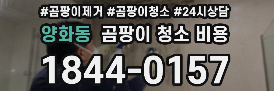 양화동 곰팡이 청소 비용