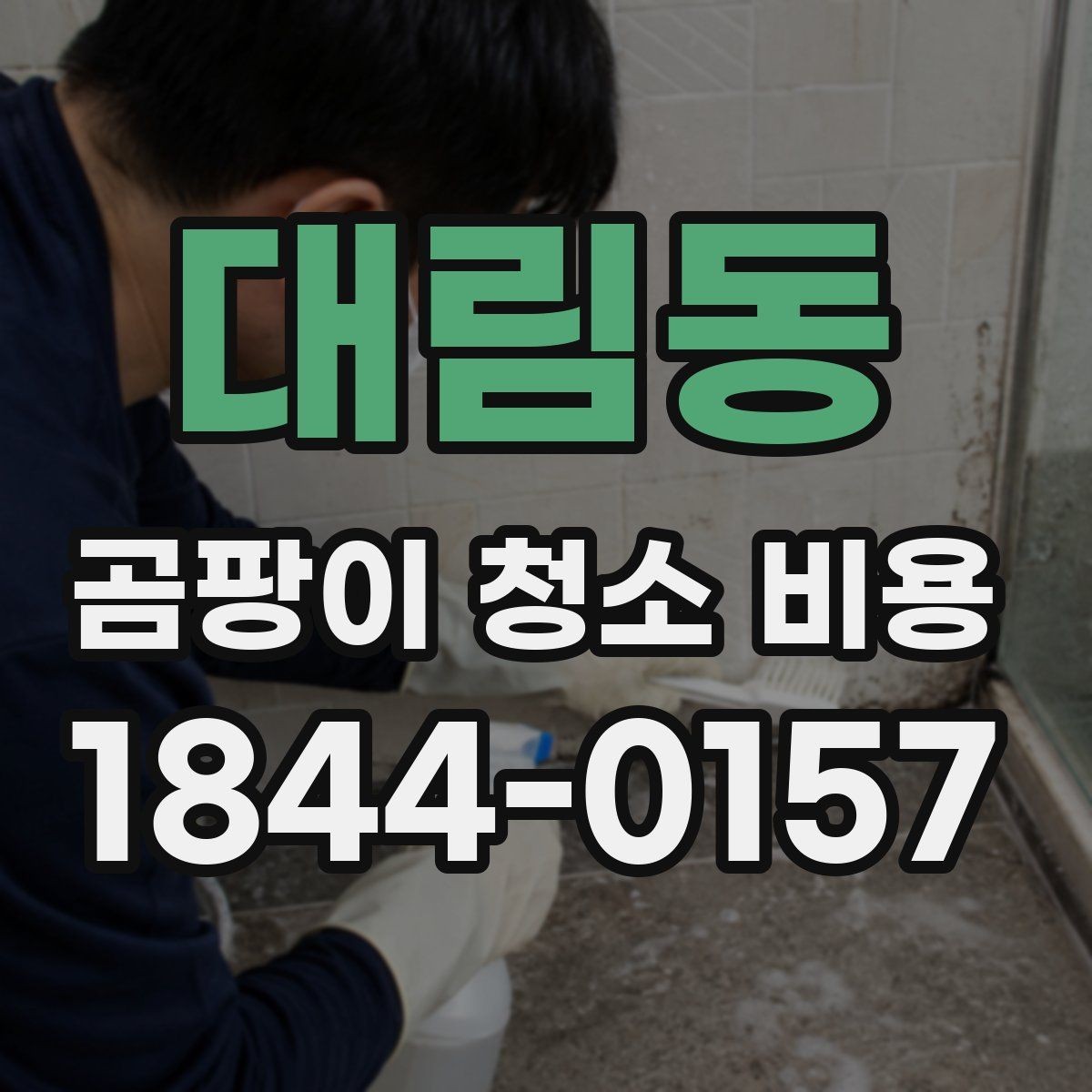대림동 곰팡이 청소 비용 환기 불량 공간에서 작업 난도가 높아지는 이유