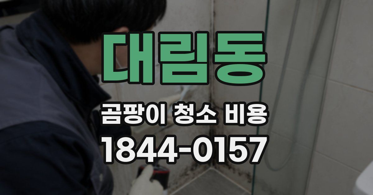 대림동 곰팡이 청소 비용
