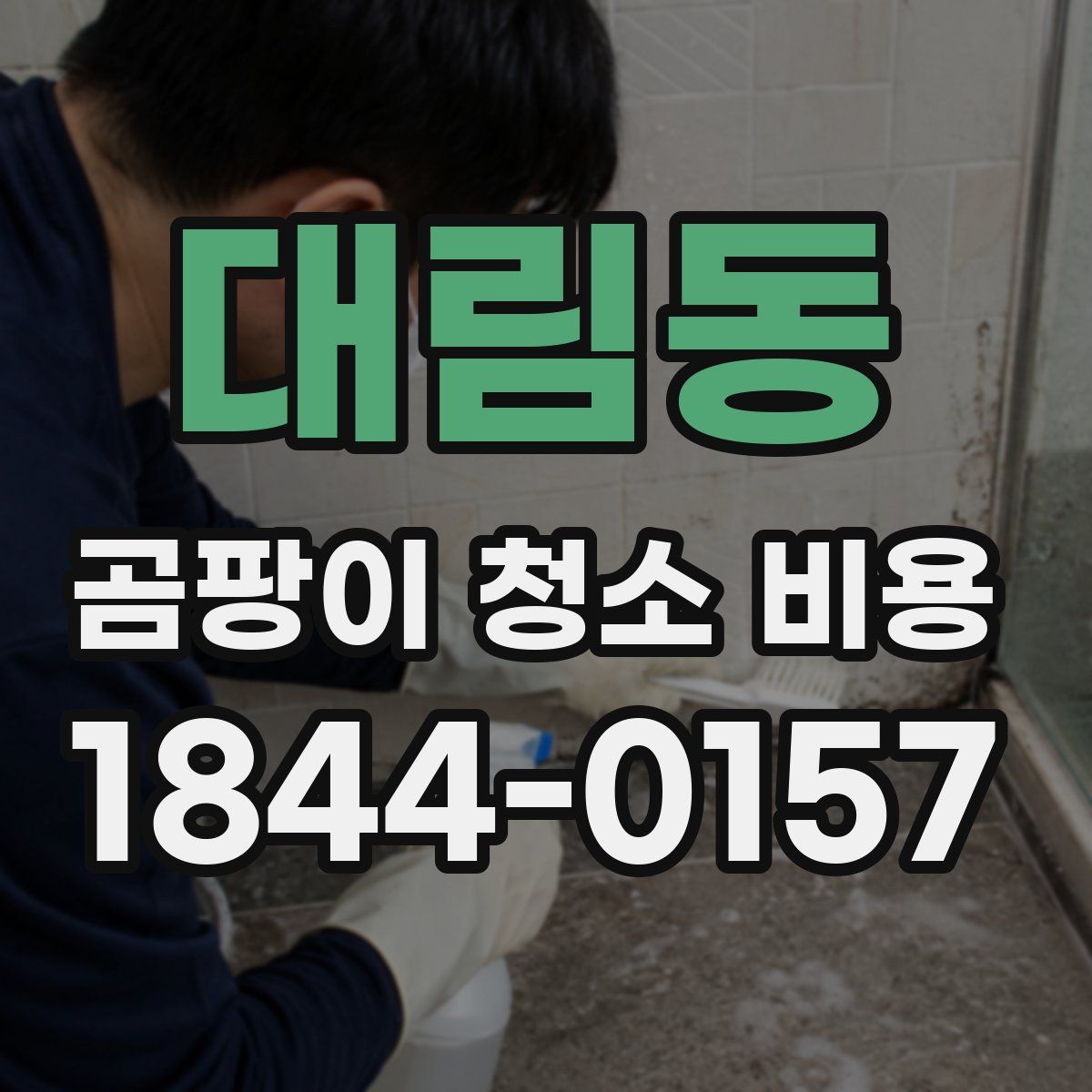 대림동 곰팡이 청소 비용