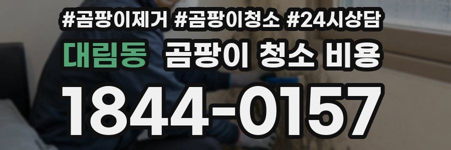 대림동 곰팡이 청소 비용