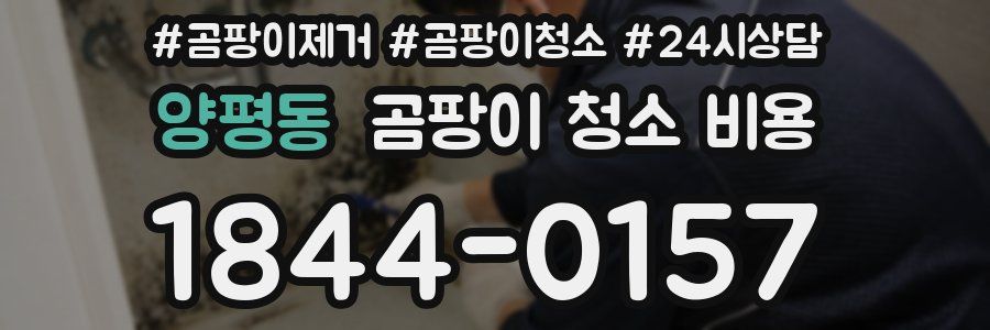 양평동 곰팡이 청소 비용