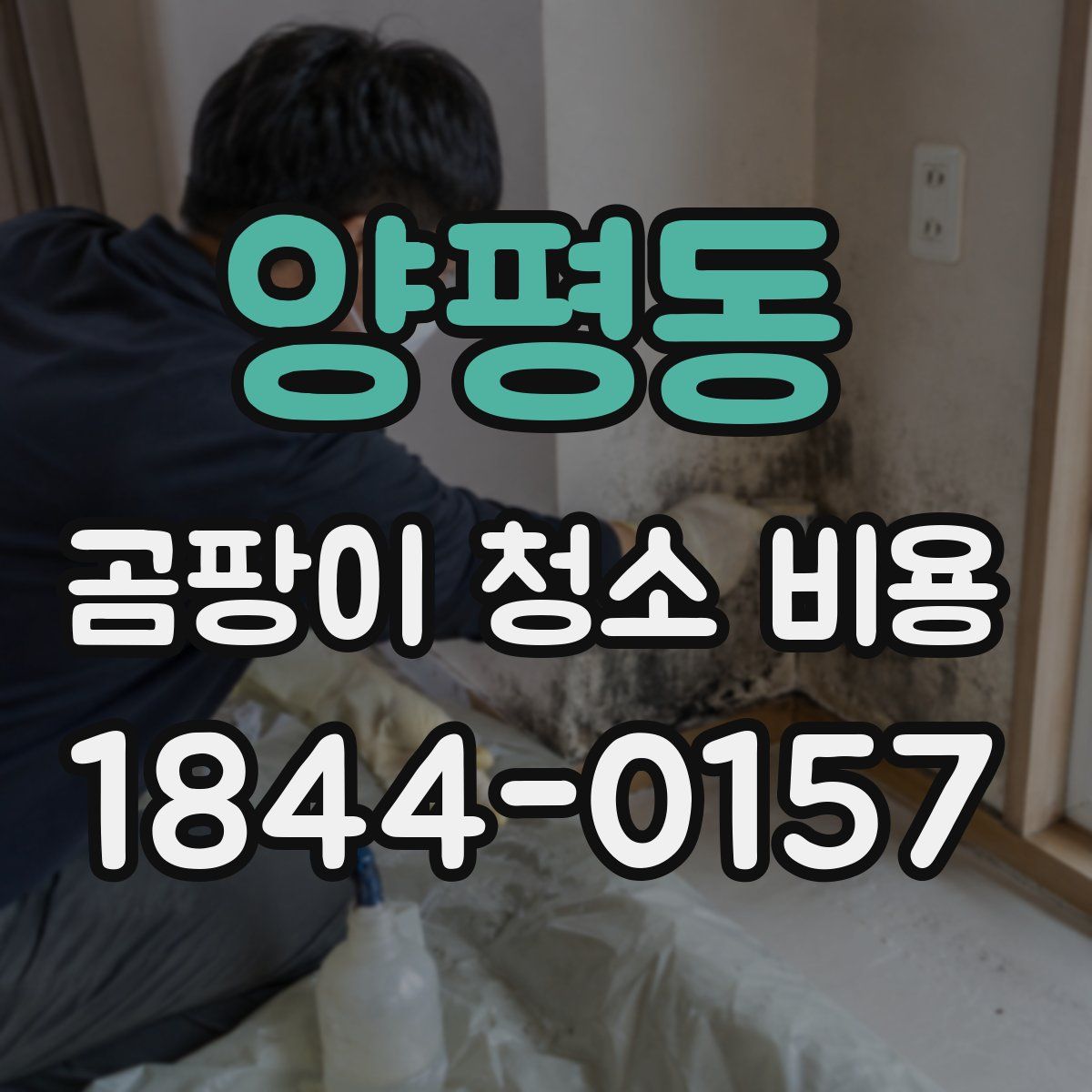 양평동 곰팡이 청소 비용