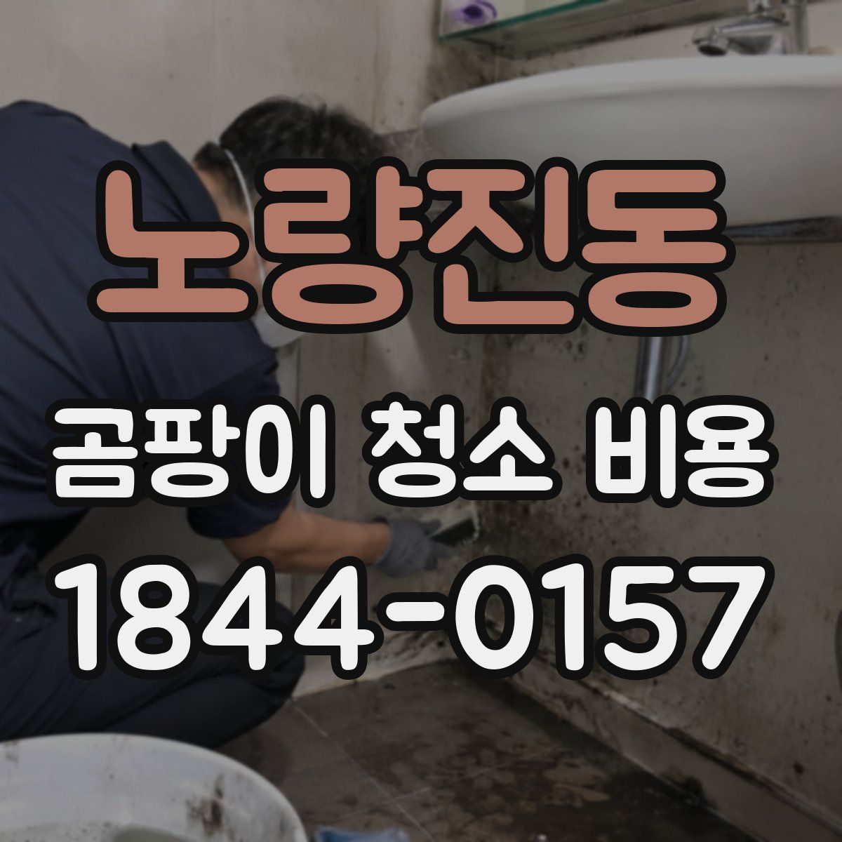 노량진동 곰팡이 청소 비용