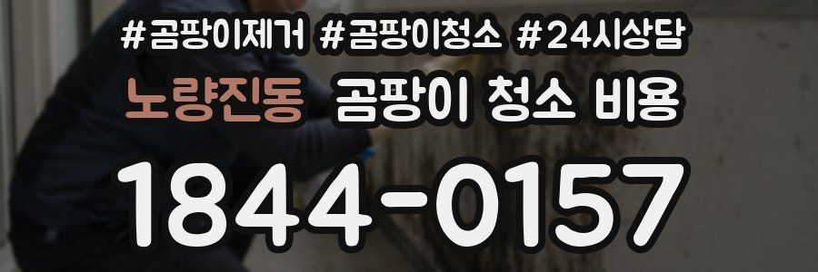 노량진동 곰팡이 청소 비용