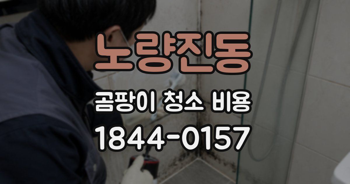 노량진동 곰팡이 청소 비용