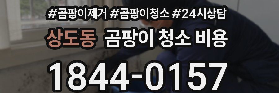 상도동 곰팡이 청소 비용