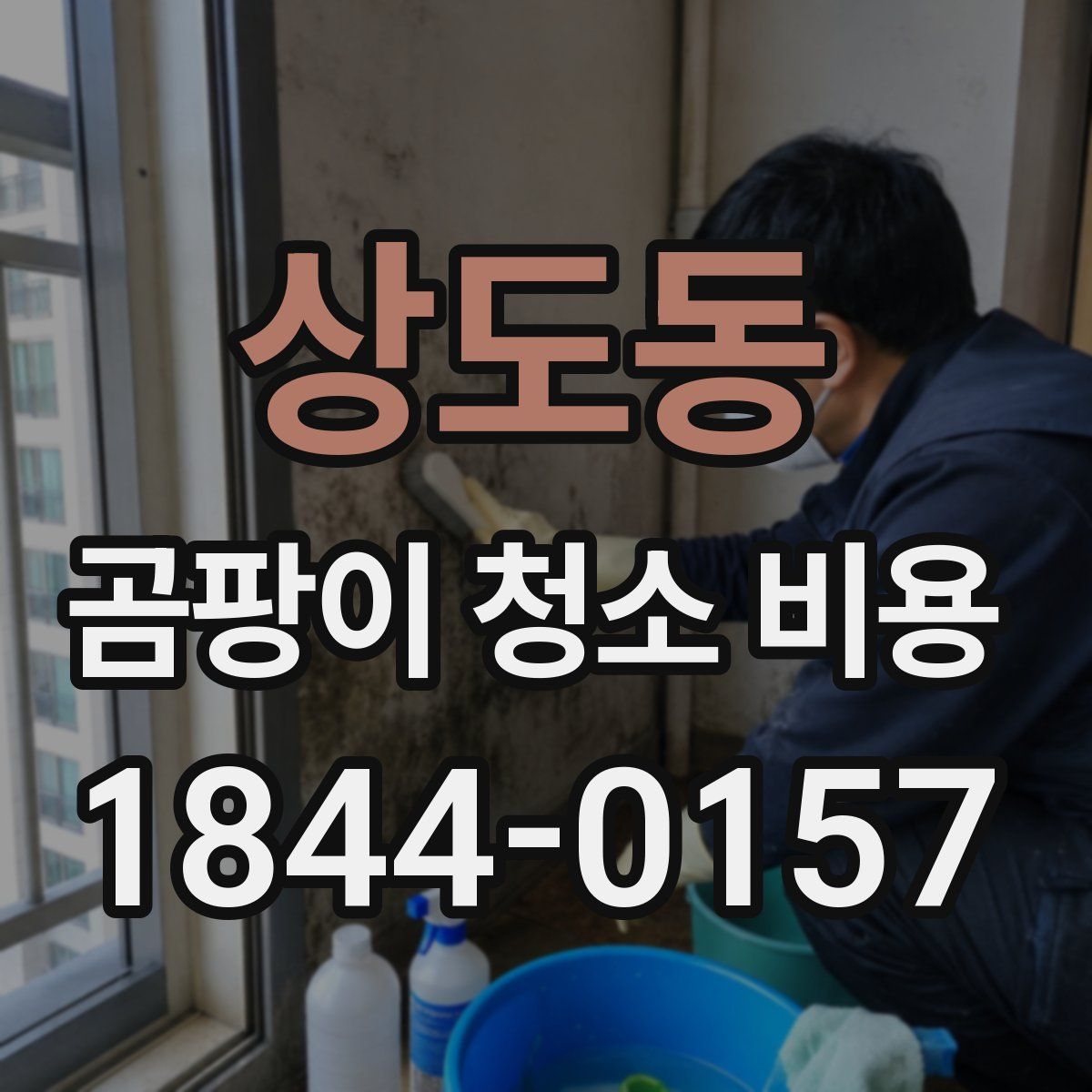 상도동 곰팡이 청소 비용