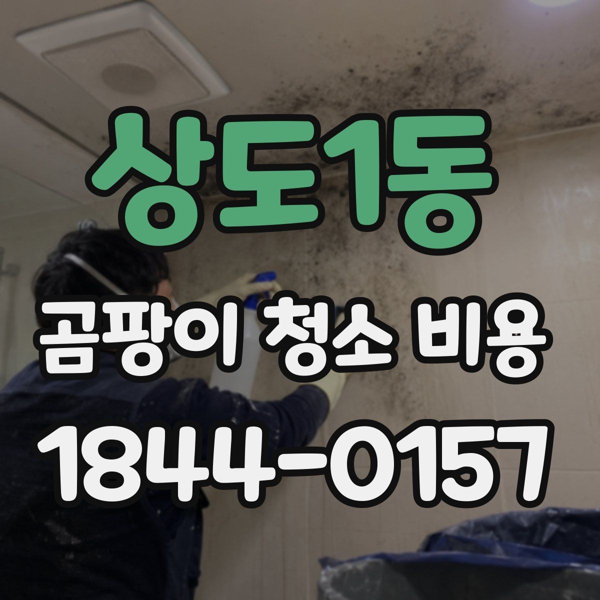 상도1동 곰팡이 청소 비용