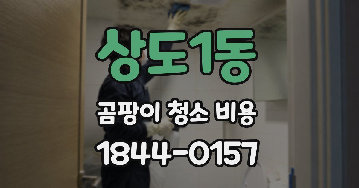 상도1동 곰팡이 청소 비용