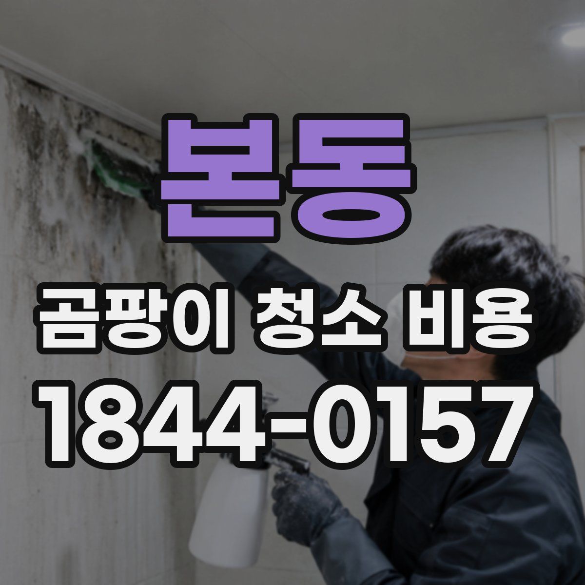 본동 곰팡이 청소 비용