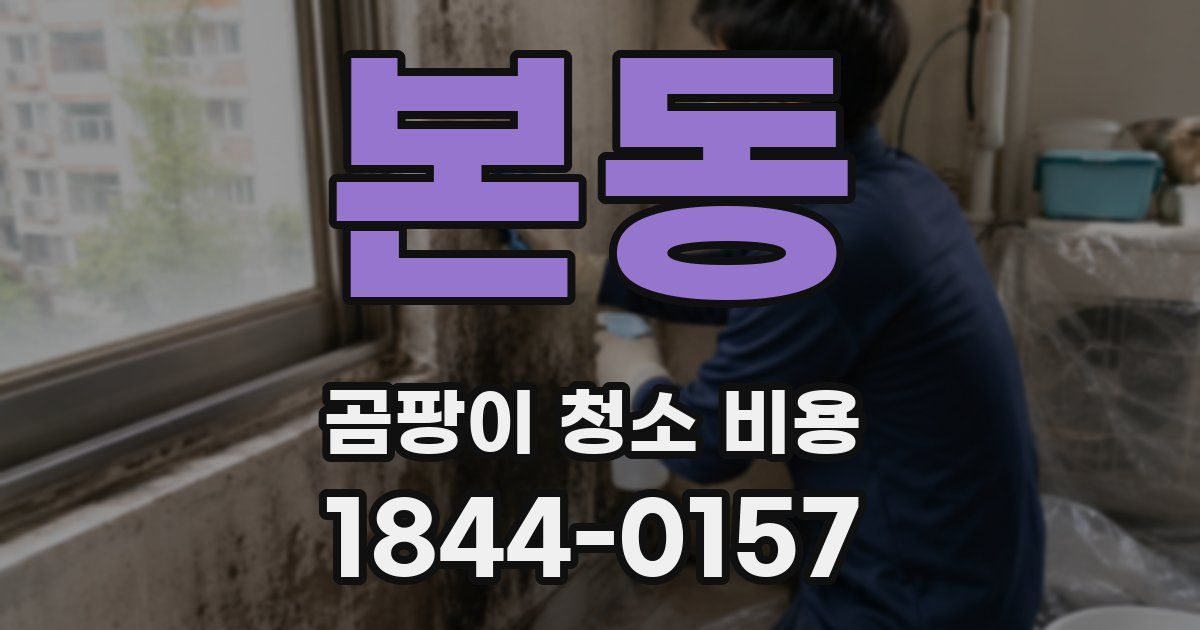 본동 곰팡이 청소 비용