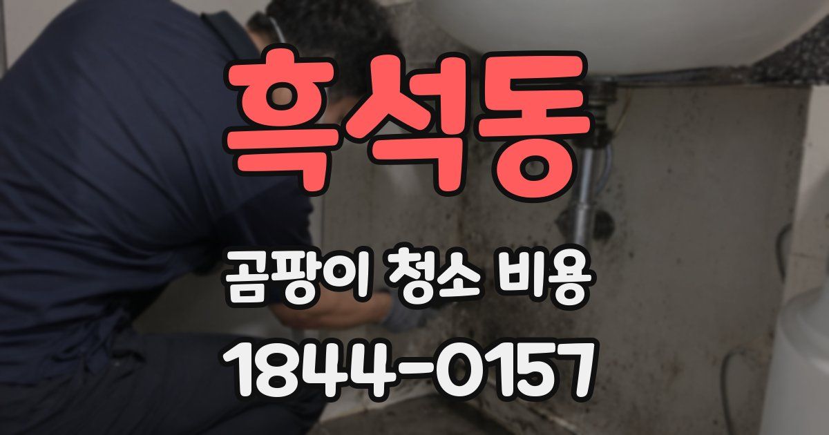 흑석동 곰팡이 청소 비용