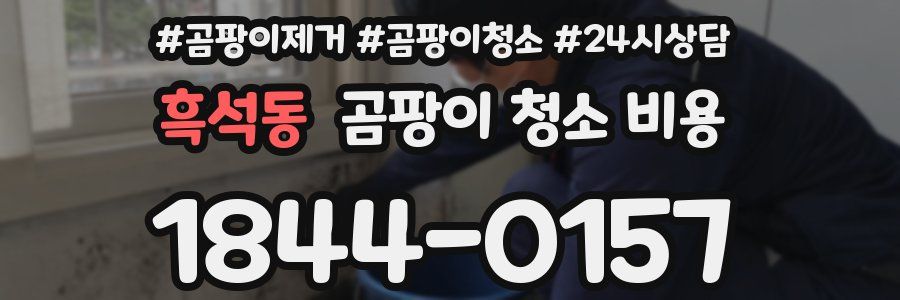 흑석동 곰팡이 청소 비용