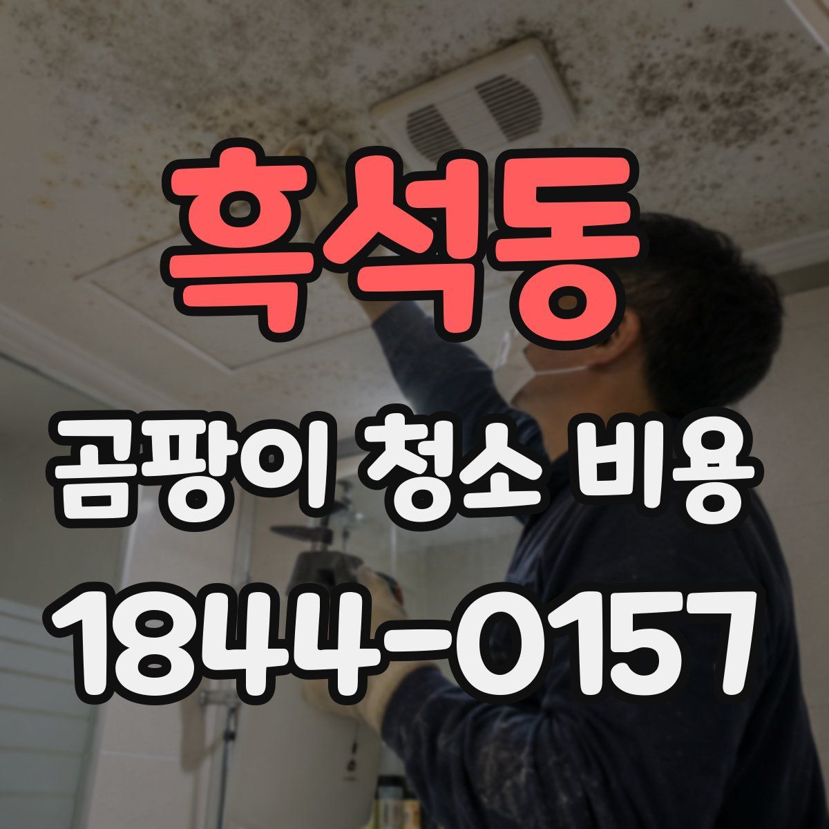 흑석동 곰팡이 청소 비용
