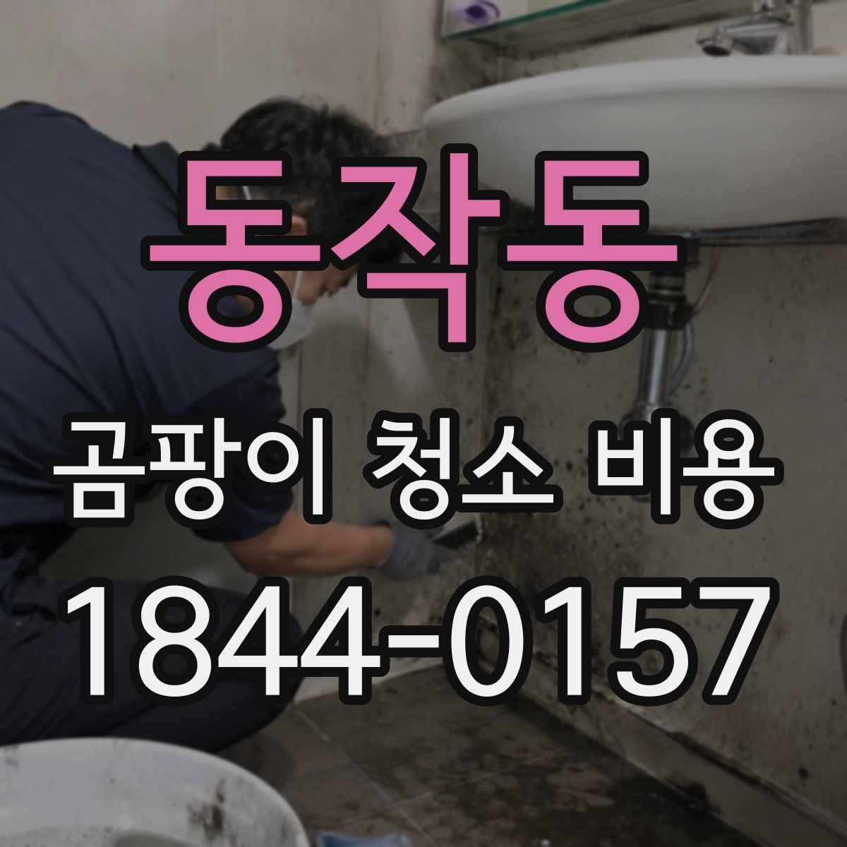 동작동 곰팡이 청소 비용