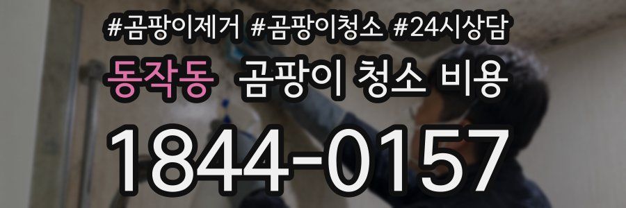 동작동 곰팡이 청소 비용