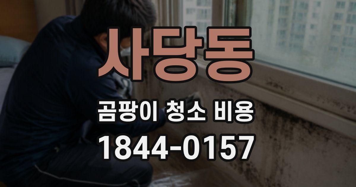 사당동 곰팡이 청소 비용