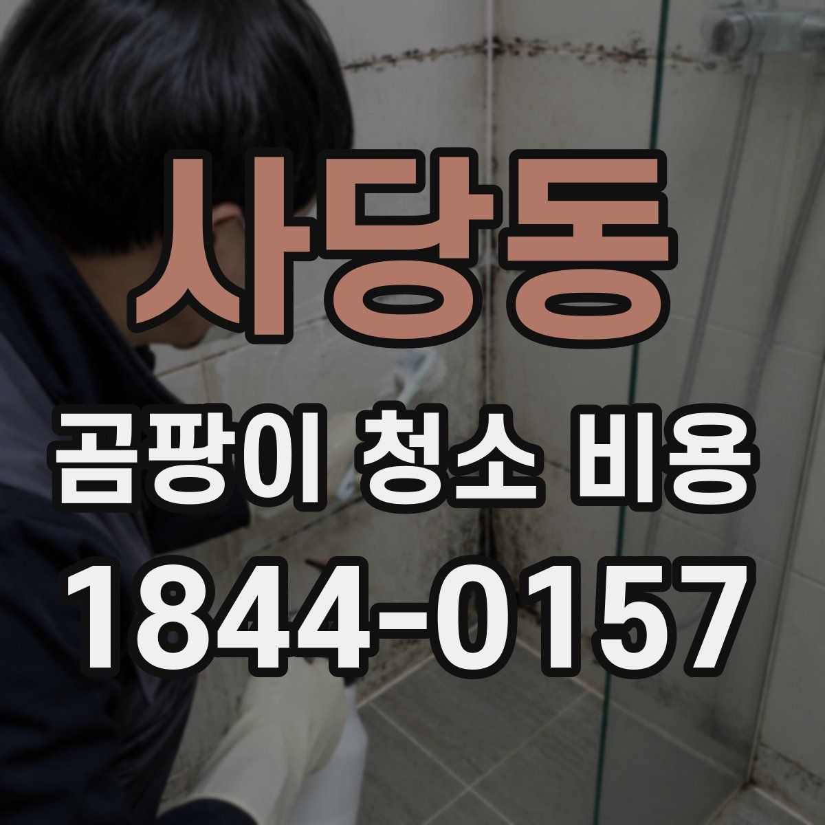 사당동 곰팡이 청소 비용