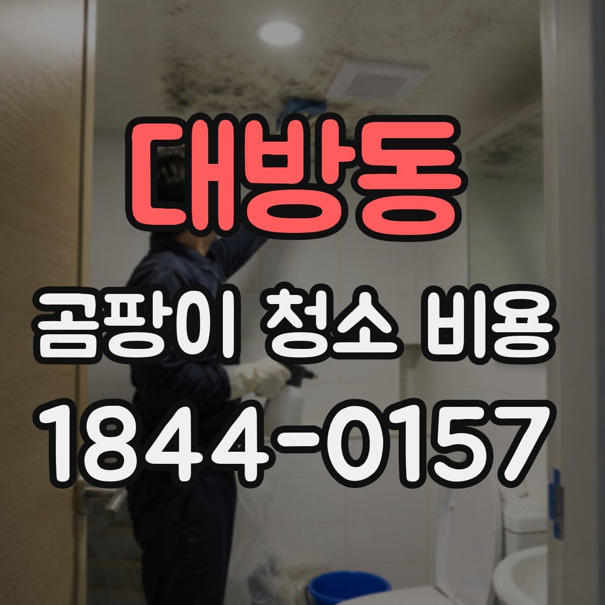 대방동 곰팡이 청소 비용