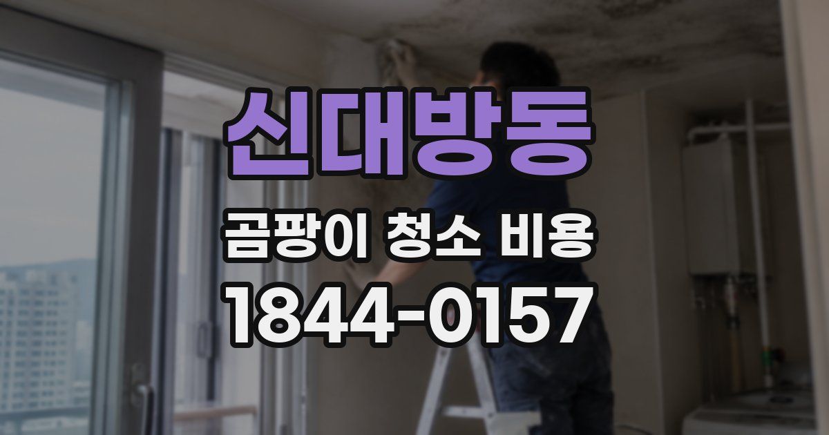 신대방동 곰팡이 청소 비용