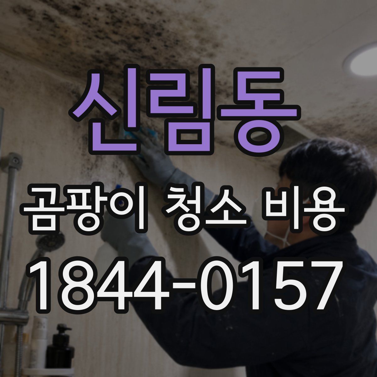 신림동 곰팡이 청소 비용